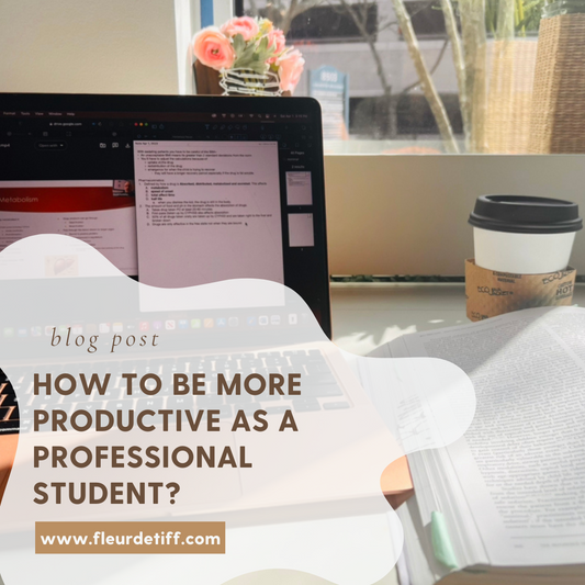 How to Become More Productive as a Professional Student